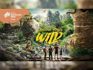 Ảnh chính tour Phú Quốc